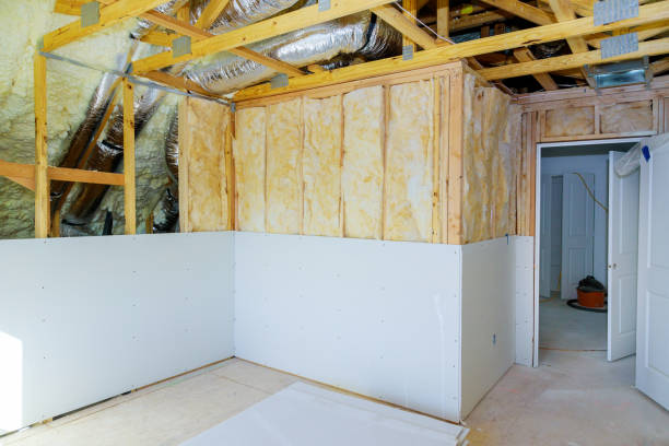 Best Insulation Maintenance and Repair in Mertzon, TX