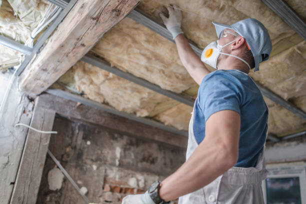 Best Spray Foam Insulation in Mertzon, TX