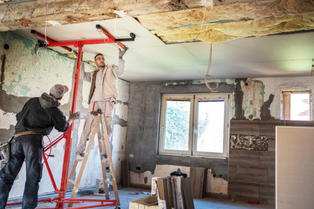 Best Geographic-Specific Insulation Services in Mertzon, TX