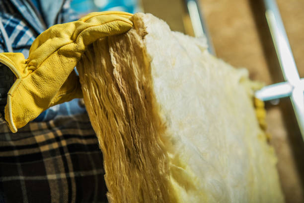 Best Eco-Friendly Insulation in Mertzon, TX